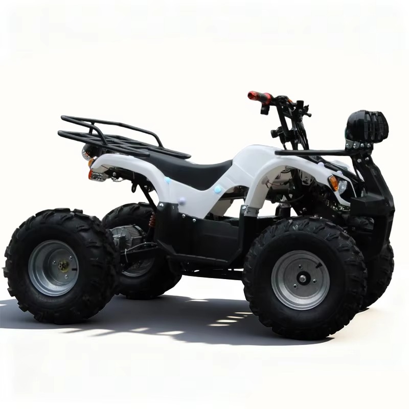 Kids Outdoor Electric Quad - 750W 48V 子供用電動ATVクワッド4輪車、自動シャフトドライブミニクワッドバイク、子供向け、全地形対応アウトドアオフロード