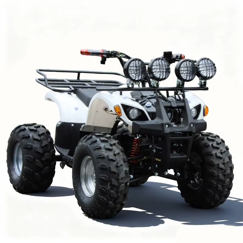 750W 48V 子供用電動ATVクワッド4輪車、自動シャフ - Kids Outdoor Electric Quad のレビューと価格