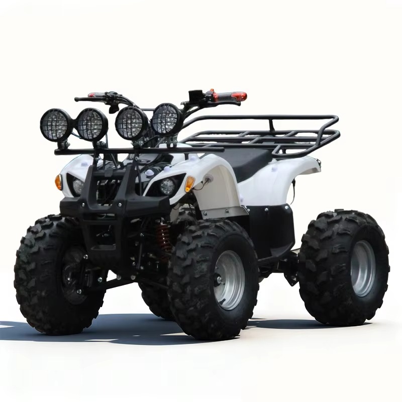 750W 48V 子供用電動ATVクワッド4輪車、自動シャフ - Kids Outdoor Electric Quad のレビューと価格