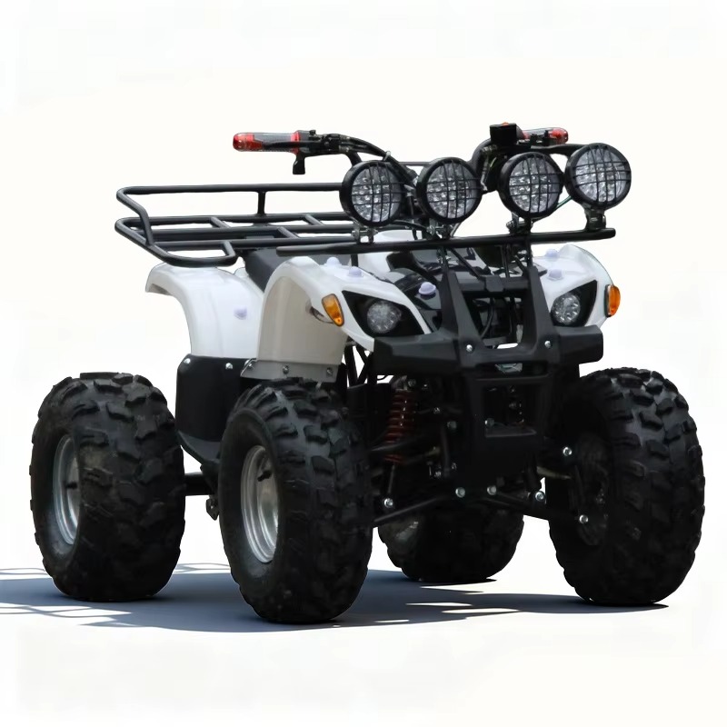 750W 48V 子供用電動ATVクワッド4輪車、自動シャフ - Kids Outdoor Electric Quad のレビューと価格